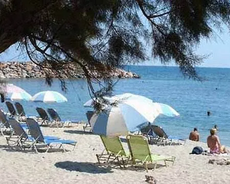 Palm Bay Sissi