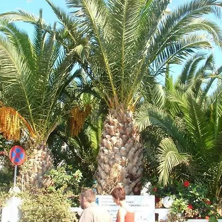 Palm Bay Hotel